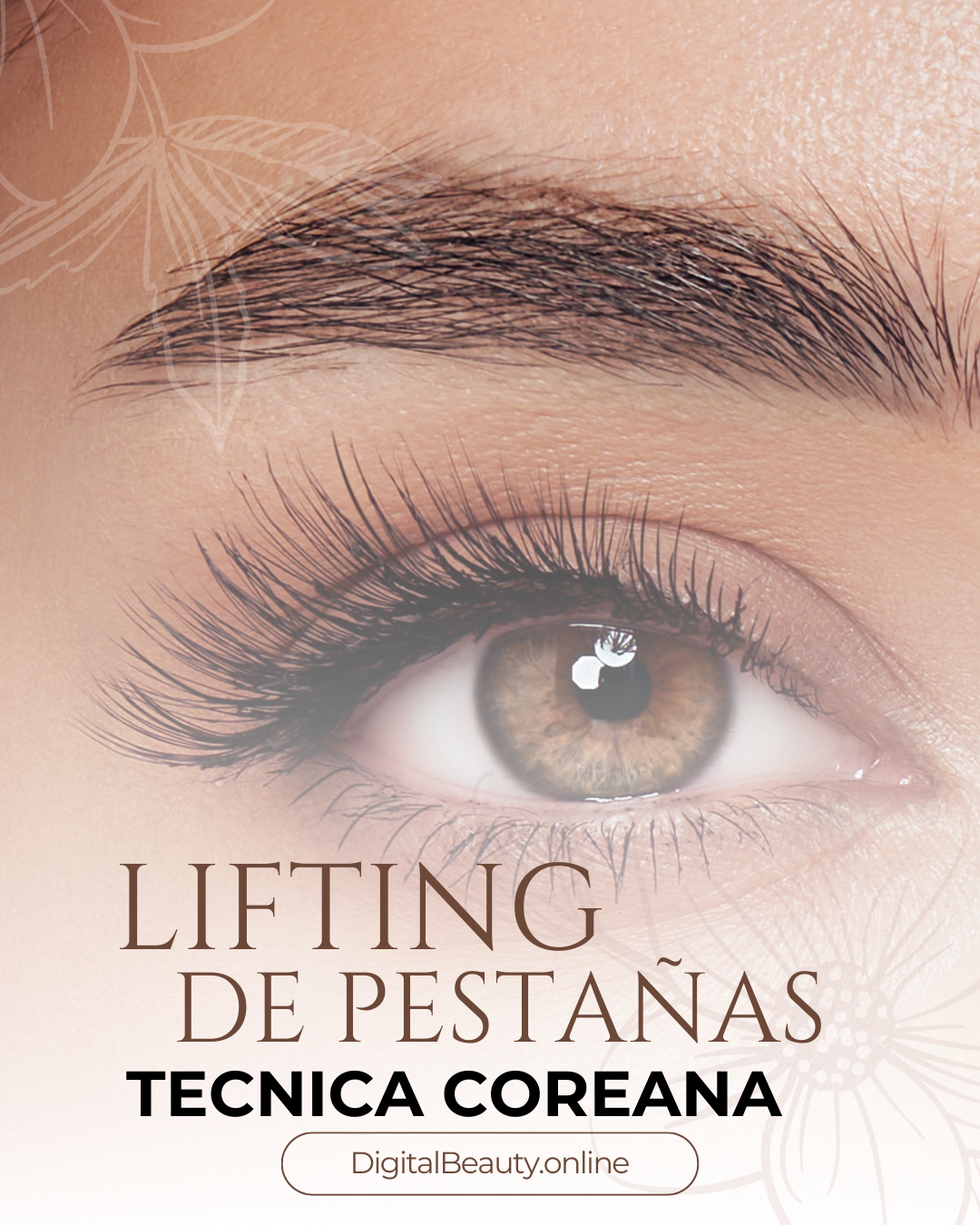 Manual de  Lifting Técnica Coreana